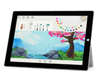 沾化Surface 无法开启、Windows 无法启动或电池无法充电